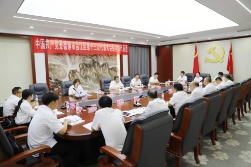 【聚焦党代会】伊文斌参加鲇鱼山镇代表团分组讨论